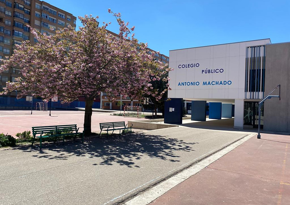 WhatsApp Image 2023-04-19 at 14.33.25.jpeg